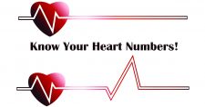 Know Your 3 Big Heart Numbers. Picture of 2 hearts along an echocardiograph read out.